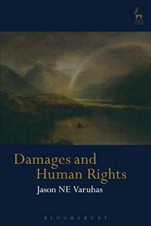 Damages and Human Rights
