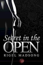 Secret in the Open