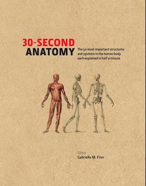 30-Second Anatomy