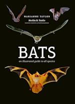 Bats