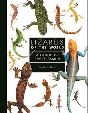 Lizards of the World