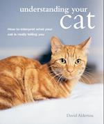 Understanding Your Cat