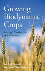 Bio-Dynamic Farming Practice