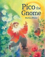 Pico the Gnome