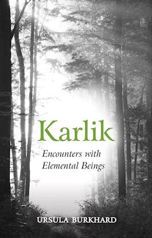 Karlik