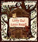 When Little Owl Met Little Rabbit