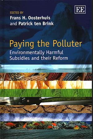 Paying the Polluter