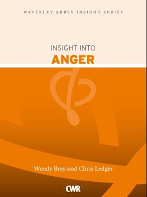 Insight into Anger