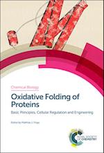 Oxidative Folding of Proteins