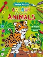 Junior Artist Colour By Numbers: Animals