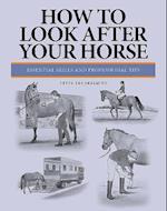 How to Look After Your Horse