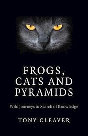 Frogs, Cats and Pyramids