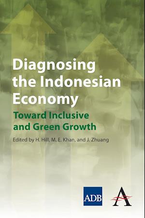 Diagnosing the Indonesian Economy