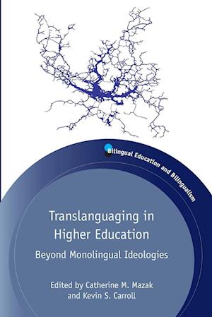 Translanguaging in Higher Education