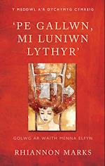 ''Pe Gallwn, Mi Luniwn Lythyr''