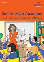 Sum Fun Maths Assessment