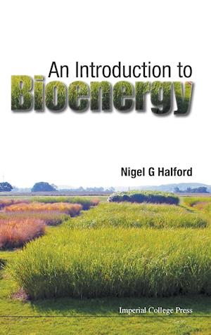 Introduction To Bioenergy, An