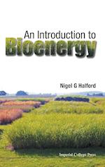 Introduction To Bioenergy, An
