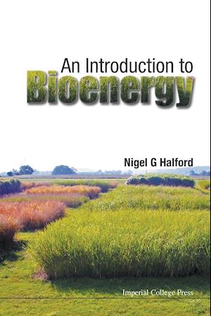 Introduction To Bioenergy, An