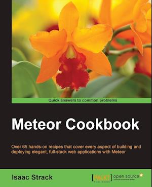 Meteor Web Application Development Cookbook