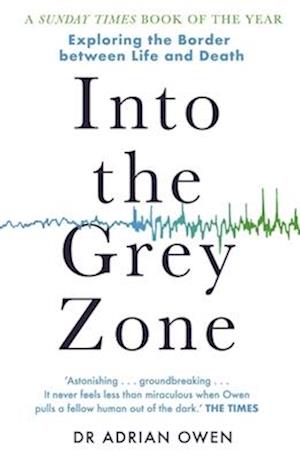 Into the Grey Zone