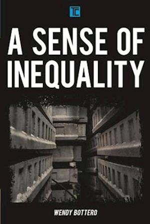 Sense of Inequality