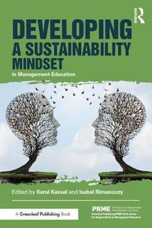 Developing a Sustainability Mindset in Management Education