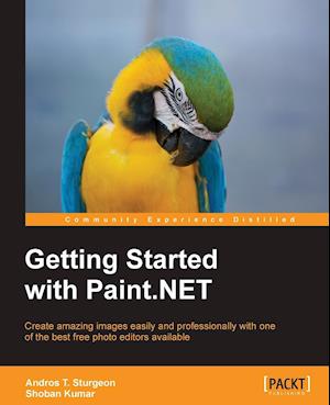 Getting Started with Paint.Net