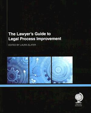 The Lawyer's Guide to Legal Process Improvement