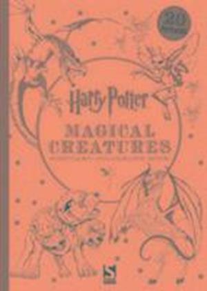 Harry Potter Magical Creatures Postcard Colouring Book