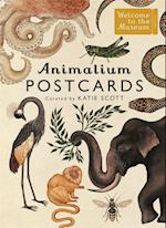 Animalium Postcards