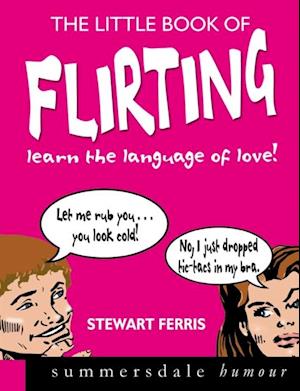 Little Book of Flirting