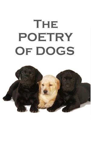 Poetry Of Dogs