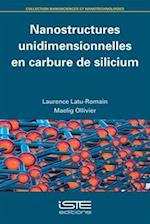 Nanostructures unidimensionnelles en carbure de silicium