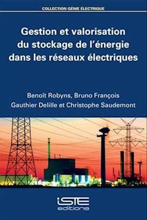 Gestion et valorisation du stockage de l'énergie dans les réseaux électriques