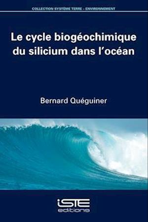 Le cycle biogéochimique du silicium dans l'océan