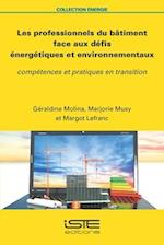 Les professionnels du bâtiment face aux défis énergétiques et environnementaux