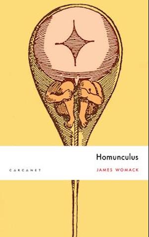 Homunculus