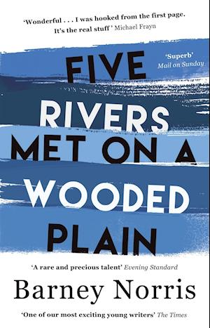 Five Rivers Met on a Wooded Plain