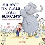 Sut Rwyt Ti'n Gallu Colli Eliffant? / How Can You Lose an Elephant?