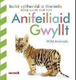 Babi Cyffwrdd a Theimlo: Anifeiliaid Gwyllt / Baby Touch and Feel: Wild Animals