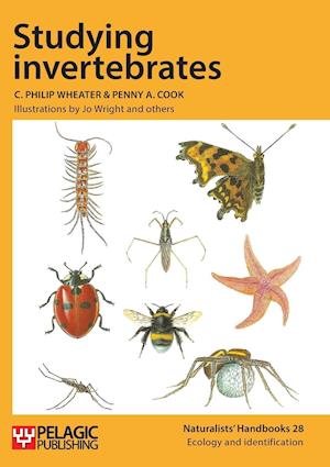 Studying Invertebrates