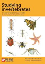 Studying Invertebrates