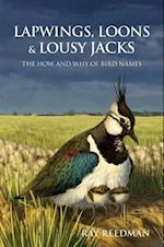 Lapwings, Loons and Lousy Jacks