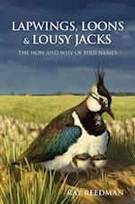 Lapwings, Loons and Lousy Jacks