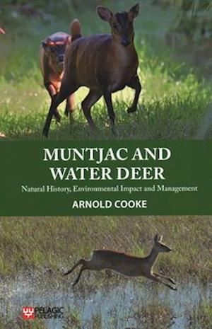 Muntjac and Water Deer