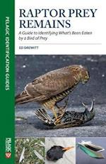 Raptor Prey Remains : A Guide to Identifying What's Been Eaten by a Bird of Prey 