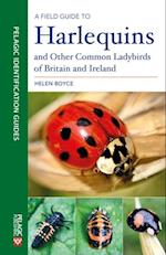 Field Guide to Harlequins and Other Common Ladybirds of Britain and Ireland