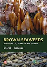 Brown Seaweeds (Phaeophyceae) of Britain and Ireland