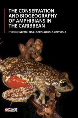 The Conservation and Biogeography of Amphibians in the Caribbean